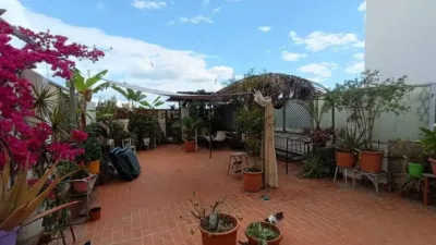 Apartment on Carrer del Doctor Gil i Morte photo 3