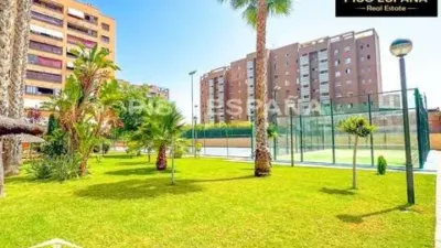 Penthouse in Playa de San Juan photo 79