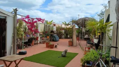 Apartment on Carrer del Doctor Gil i Morte photo 37