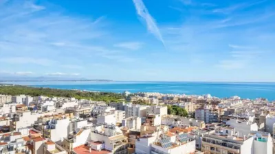 Apartment in Guardamar del Segura photo 8