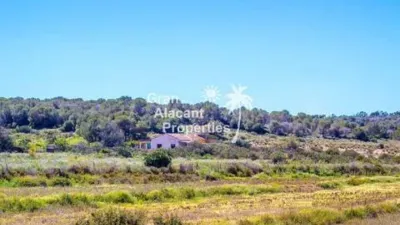 Terraced house in Gran Alacant photo 60