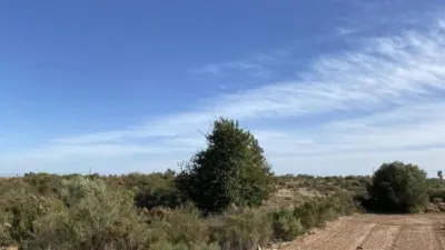 Terreno en venta en L'Altet-Els Bassars - Vista 4