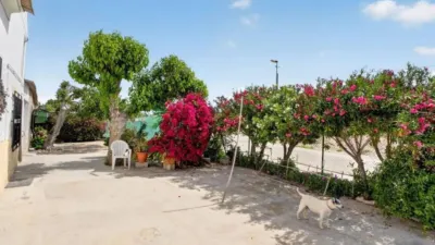Casa – Orihuela, Los Desamparados - Vista 5