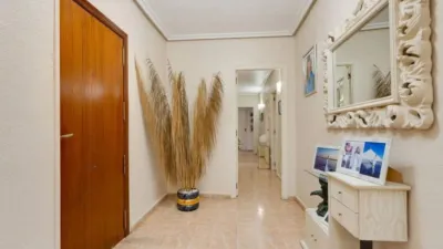 Pis – Torrevieja - Vista 4