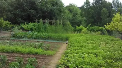 Rustic house in Valls photo 6