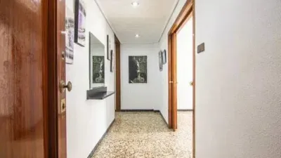 Apartment in Pont Nou photo 4