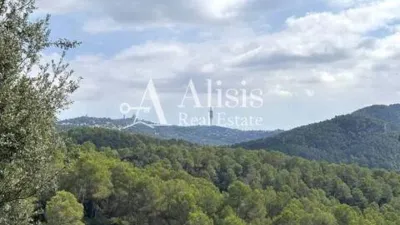 Chalet in Molins de Rei photo 47