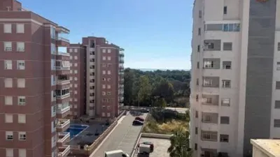 Pis – Guardamar del Segura, Urbanització Els Estanys - Vista 4