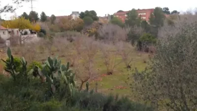 Rustic house in Valls photo 8