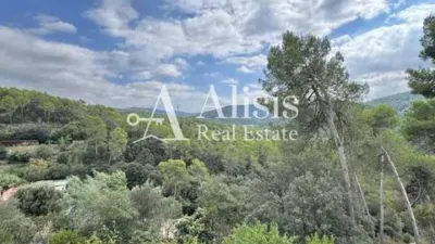 Chalet in Molins de Rei photo 66