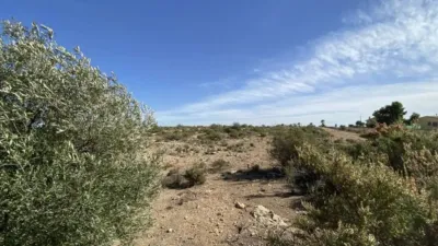 Terreno en venta en L'Altet-Els Bassars - Vista 5