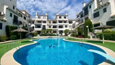 Apartment in Cabo Roig-La Zenia-La Regia photo 4