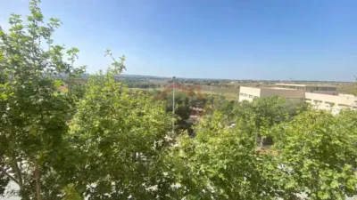 Apartment in L'Altet-Els Bassars photo 35