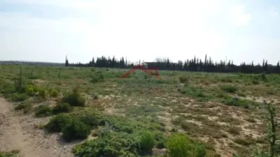 Terreno en venta en L'Altet-Els Bassars - Más