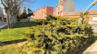 Apartment for sale in Venta de Baños photo 40