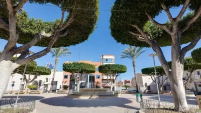 Apartment in Formentera del Segura photo 32