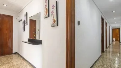 Apartment in Pont Nou photo 9