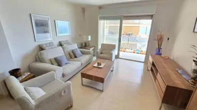 Pis – Torrevieja - Vista 3