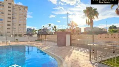 Apartment in Playa de San Juan photo 47