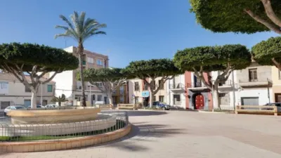 Apartment in Formentera del Segura photo 30