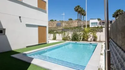Chalet in Algorfa photo 6