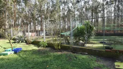 Chalet en Cuntis photo 7