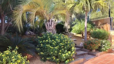 Chalet in Murcia Capital photo 22