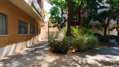 Apartment in Murcia City photo 16