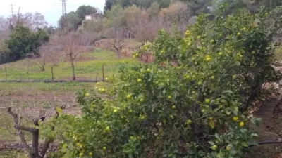 Rustic house in Valls photo 9