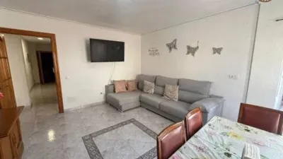 Apartment on Calle Crevillent, 22 photo 5