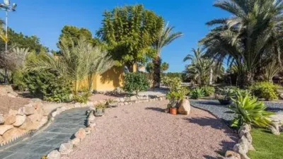 Casa – Elx - Elche - Vista 3