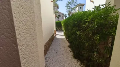 Casa – Almoradí, Lomas de la Juliana (Almoradí) - Vista 5