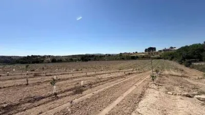 Chalet in Caravaca de la Cruz photo 20