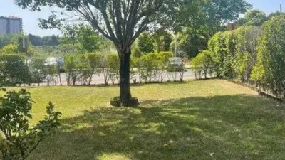 Apartment in Artaza photo 2