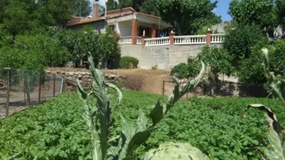 Rustic house in Valls photo 3