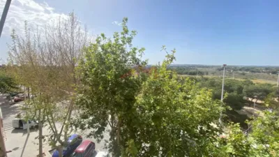 Apartment in L'Altet-Els Bassars photo 34