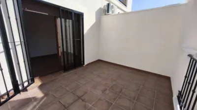 Chalet in Algorfa photo 22