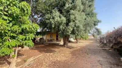 Rustic house in Torrellano-Valverde-Parc Empresarial photo 21