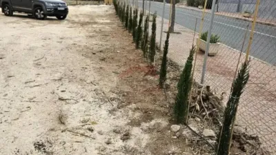 Terreno en venta en Hondón de los Frailes - Más