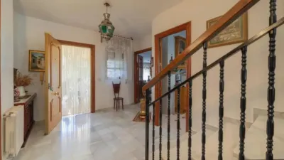 Chalet in Padul photo 29