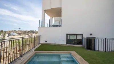Chalet in Algorfa photo 55