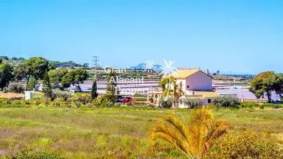 Terraced house in Gran Alacant photo 68
