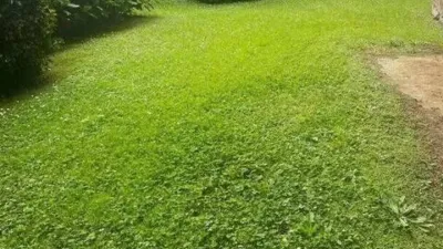 Apartment in Algorta photo 4