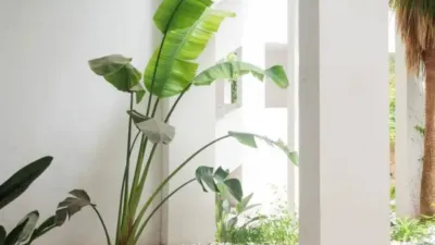 Apartment on Carrer de Torrent photo 20