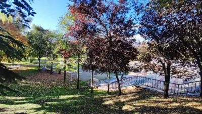 Apartment in Palencia City Centre photo 16