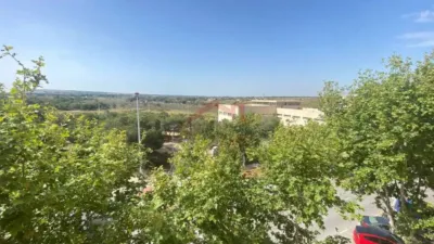 Apartment in L'Altet-Els Bassars photo 33