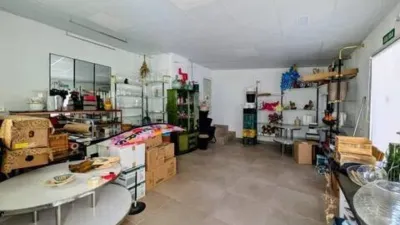Casa en Salar photo 6