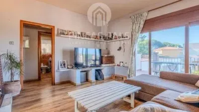 Chalet on Calle del Conill, 22 photo 9