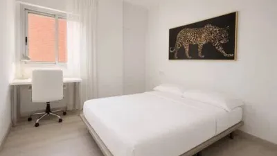 Apartment in Plaza de Santo Domingo photo 2