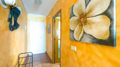 Apartment in Acequión-Los Naúfragos photo 15